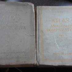 ATLAS DE ANATOMIE COMPARATIVA DE VASILE GHETIE, EUGEN PASTEA ,ILIE RIGA 1954 ,2 VOL