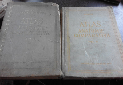 ATLAS DE ANATOMIE COMPARATIVA DE VASILE GHETIE, EUGEN PASTEA ,ILIE RIGA 1954 ,2 VOL foto