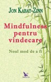 Mindfulness pentru vindecare - Paperback brosat - Jon Kabat-Zinn - For You