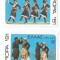 |Grecia, Europa CEPT, 1981, MNH