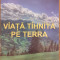 Viata tihnita pe terra