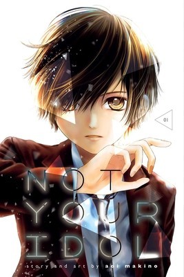 Not Your Idol, Vol. 1, Volume 1 foto