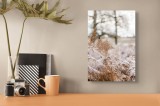 Tablou Canvas Frunze de Ferigă &icirc;n Bruma Dimineții - Peisaj Toamna, 26 x 39 cm, CMCLASS