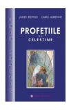 Profe&Aring;&pound;iile de la Celestine - ghid practic - Paperback brosat - Adrienne Carol, James Redfield - Mix