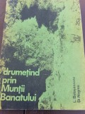 DRUMETIND PRIN MUNTII BANATULUI PLUS HARTA