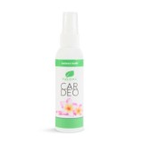 Odorizant auto Paloma Car Deo Hawaii Surf - 65 ml