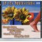 CD 2XCD Various &ndash; In The Summertime (VG+)