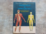 Cunostinte Practice de Anatomia si Igena Omului - manual pentru clasa a VIII-a scoli speciale ajutatoare, 1997, Alte materii, Clasa 8