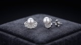 Cercei din Argint 925 cu Perla si Design Scoica Pave cu Cristale Zirconiu