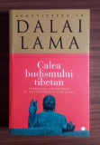 DALAI LAMA - CALEA budismului tibetan