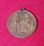 Insigna / medalion regalist in memoria zilei de 10 mai 1881