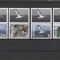 Aitutaki 2016 - Fauna , WWF , Pasari , serie 4 valori , cu vignete , poz. III , dantelate , MNH , Mi.962-965