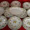 SET / SERVICIU DIN PORTELAN 8 PERSOANE