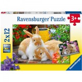 Cumpara ieftin PUZZLE PORCUSOR DE GUINEA SI IEPURAS, 2x12 PIESE, Ravensburger