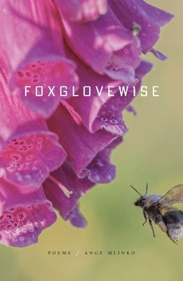 Foxglovewise: Poems foto