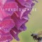 Foxglovewise: Poems