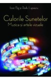 Culorile sunetelor - Ioan Big, Radu Lupascu