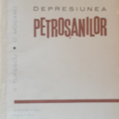 DEPRESIUNEA PETROȘANILOR - V. TUFESCU, C. MOCANU