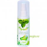 Deodorant Spray Alaun in Apa Florala de Menta 100ml