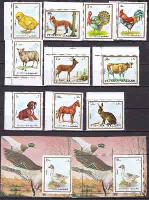 Fujeira 1972 fauna MI 1295-1304 A + bl.131 A+B MNH foto