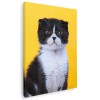 Tablou pisica negru cu alb fundal galben Tablou canvas pe panza CU RAMA 60x80 cm