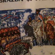 Brazda si palos vol.1 Radu Theodoru 1967