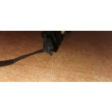Alimentator Logitech 5v 500 mA #6-617