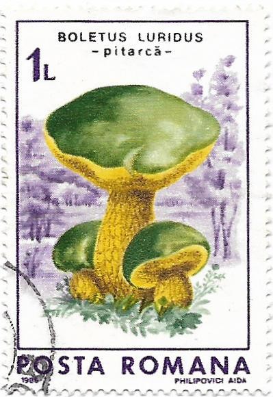 Lot de 10 marci romanesti diverse, obliterate, din anii &#039;80