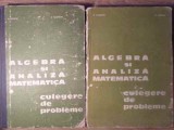 ALGEBRA SI ANALIZA MATEMATICA. CULEGERE DE PROBLEME VOL.1-2-N.DONCIU, D.FLONDOR-280298