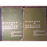 ALGEBRA SI ANALIZA MATEMATICA. CULEGERE DE PROBLEME VOL.1-2-NICOLAE DONCIU, DUMITRU FLONDOR-301961