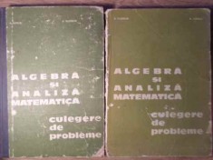 ALGEBRA SI ANALIZA MATEMATICA. CULEGERE DE PROBLEME VOL.1-2-N.DONCIU, D.FLONDOR-301961