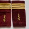 Grade Militare-capitan medic