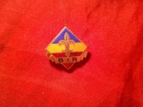 Insigna BIR - Banca Internationala a Religiilor , Metal si email , h= 2,3 cm