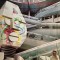 VINIL LP The Alan Parsons Project &ndash; I Robot (-VG)