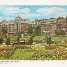 FS1 - Carte Postala - MAREA BRITANIE - Manchester, Piccadilly Gardens