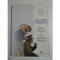 CELE PATRU INTROSPECTII - ALBERTO VILLOLDO, PH. D.