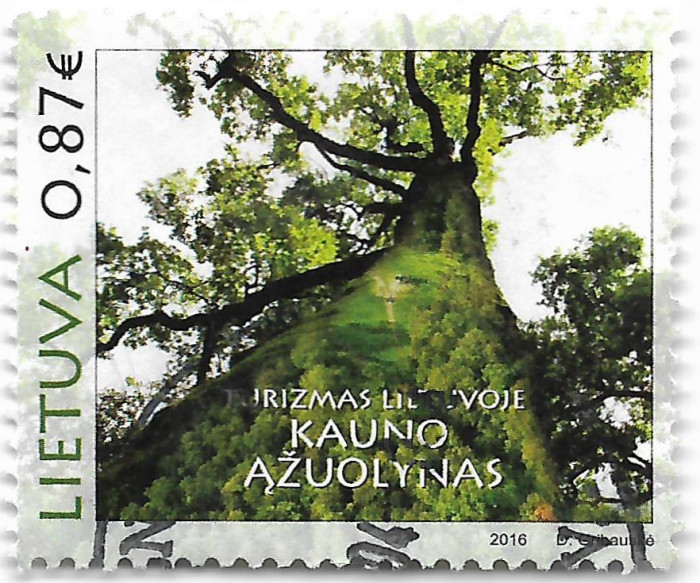 Lituania (3) - Turism - padure de stejari, 2016 - obliterata