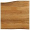 vidaXL Blat masă cu margini, 60x60x3,8 cm, lemn masiv mango