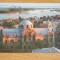 QW23 B - Carte postala - tematica turism - vedere - Romania - Braila 3