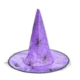 Palarie mov cu panza de paianjen