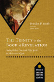 The Trinity in the Book of Revelation: Seeing Father, Son, and Holy Spirit in John&#039;s Apocalypse