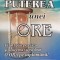 PUTEREA UNEI ORE - DAVE LAKHANI