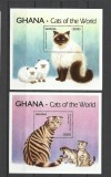 GHANA 1994 FAUNA ANIMALE DOMESTICE PISICI