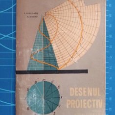 Desenul proiectiv - partea a doua - manual clasa a X-a - Lepădatu & Haiduc 1964