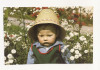 TD1 -Carte Postala- GERMANIA - Kathe Kruse Puppe I, necirculata, Fotografie