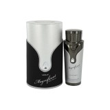 Apa de parfum Armaf Magnificent pentru bărbați EDP 100 ml