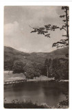 CPIB 21693 - CARTE POSTALA - BAIA SPRIE. LACUL BODI SI CABANA MOGOSA, RPR, Necirculata, Fotografie