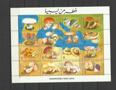 LIBIA 1985 CIUPERCI foto