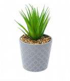 Cumpara ieftin Planta decorativa artificiala in ghiveci, Verde,19 cm, Oem