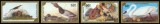 Mongolia 1986 &ndash; Serie pasari -4 timbre-nestampilata